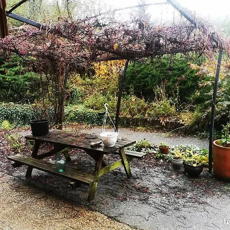 Homestay Maison A *